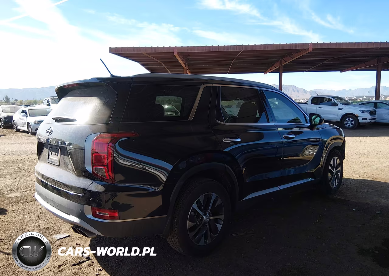 2020 Hyundai Palisade Sel VIN:KM8R24HEXLU133463 - 20