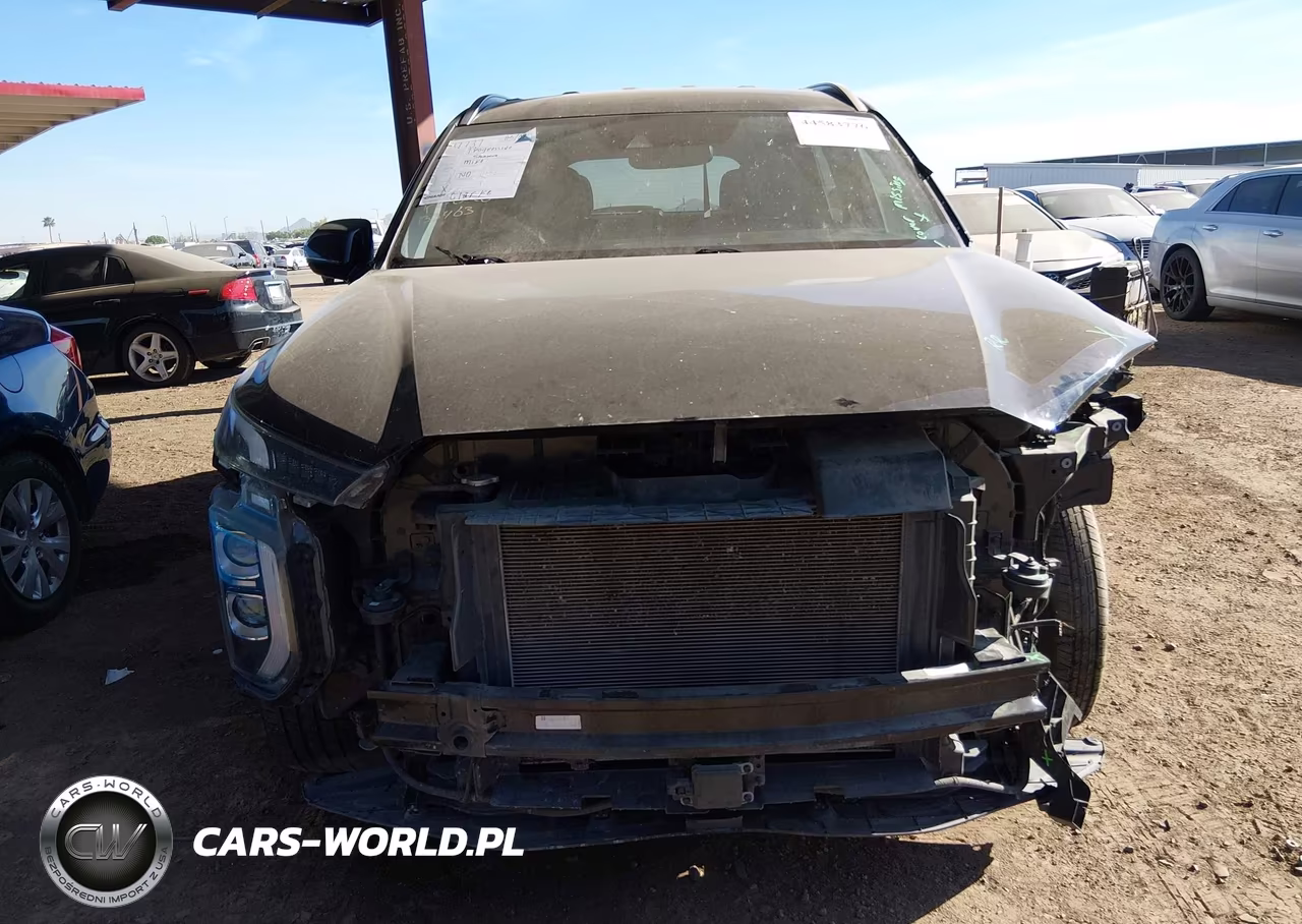 2020 Hyundai Palisade Sel VIN:KM8R24HEXLU133463 - 6