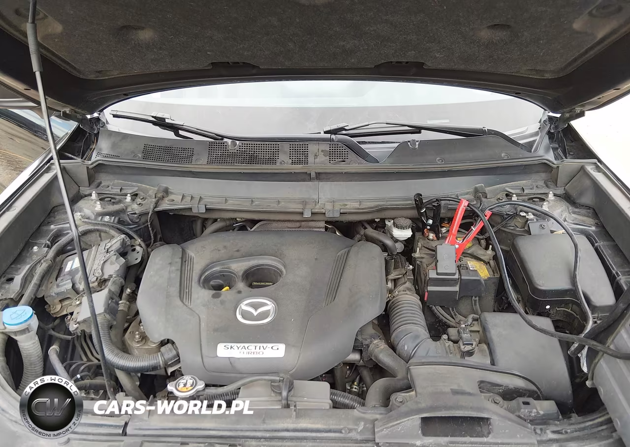 2023 Mazda Cx-9 Touring VIN:JM3TCBCY9P0658256 - 10