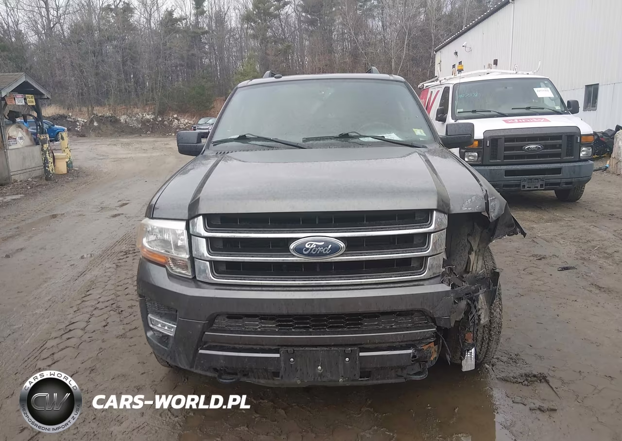 2016 Ford Expedition Xlt VIN:1FMJU1JT4GEF41696 - 12