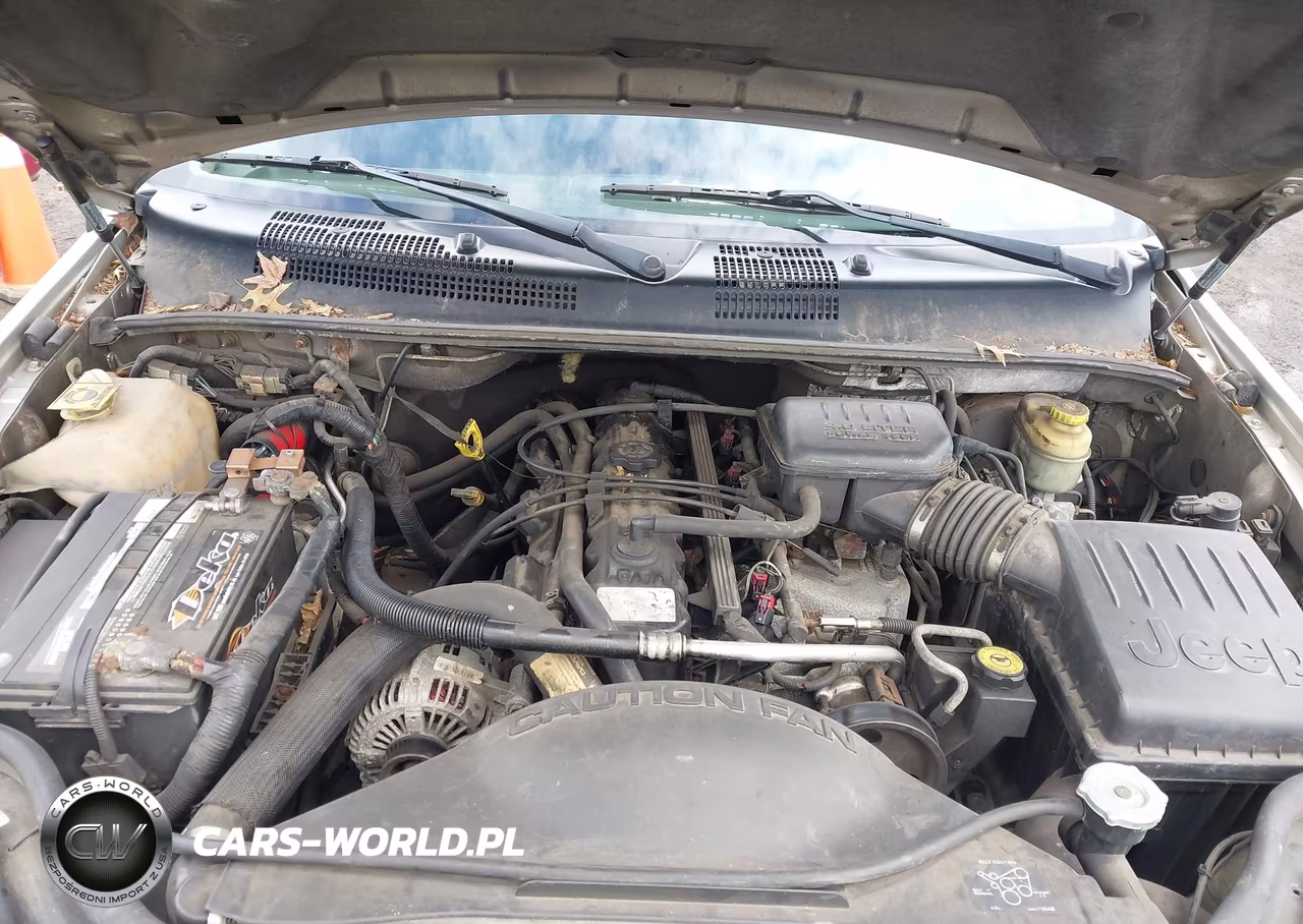2004 Jeep Grand Cherokee Laredo VIN:1J4GW48S04C305894 - 10