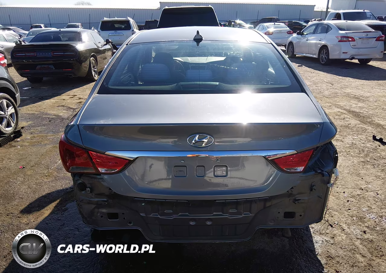 2014 Hyundai Sonata Gls VIN:5NPEB4AC8EH878110 - 16