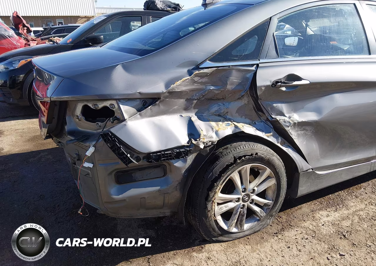 2014 Hyundai Sonata Gls VIN:5NPEB4AC8EH878110 - 17