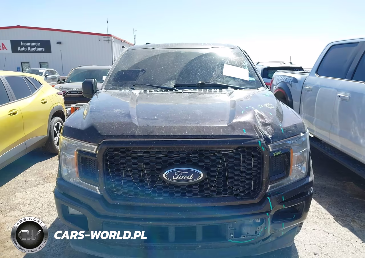2019 Ford F-150 Xl VIN:1FTEW1CP1KKD03914 - 12