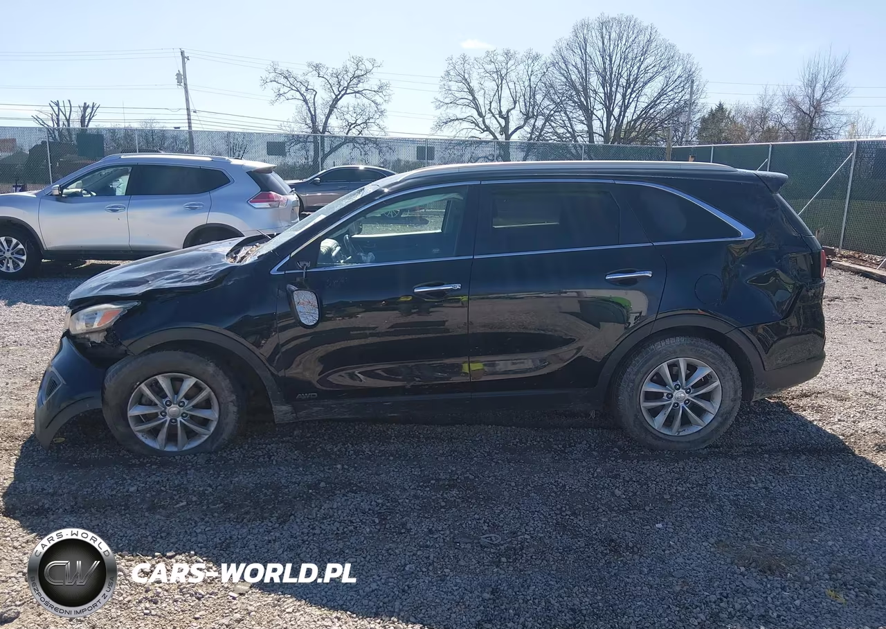 2016 Kia Sorento 2.4L Lx VIN:5XYPGDA30GG087526 - 15