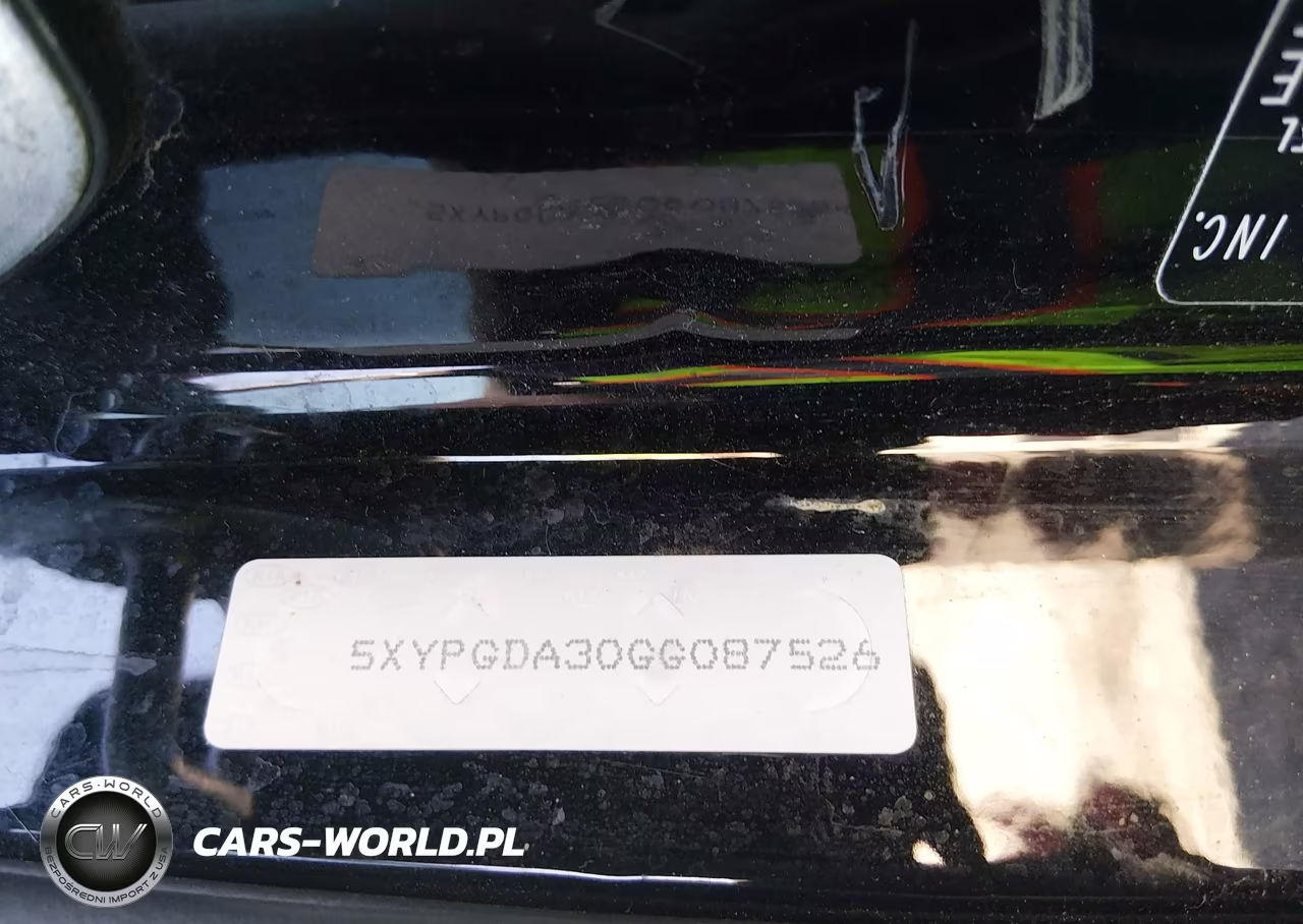 2016 Kia Sorento 2.4L Lx VIN:5XYPGDA30GG087526 - 9