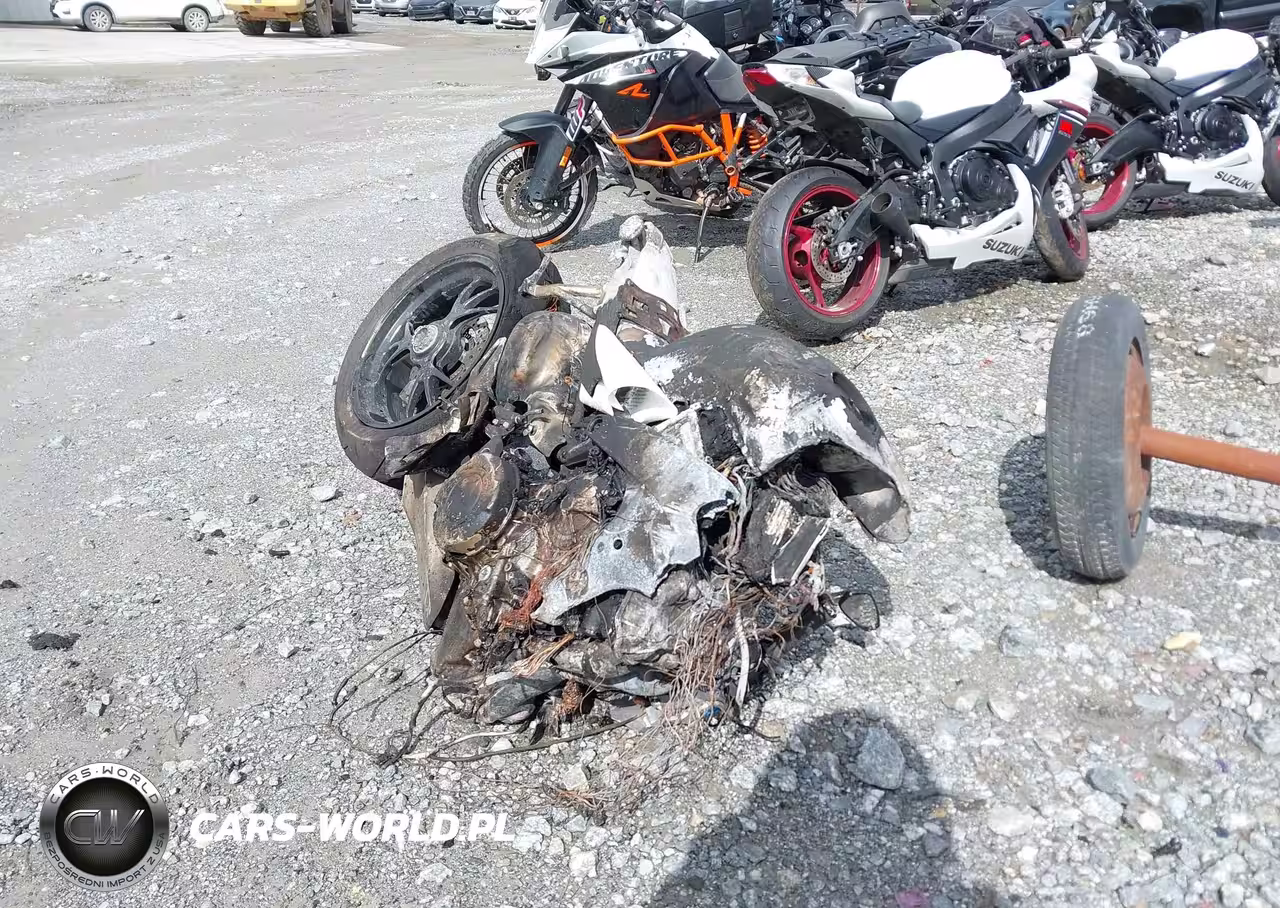 2021 Ducati Panigale V4-V4S-V4S Speciale