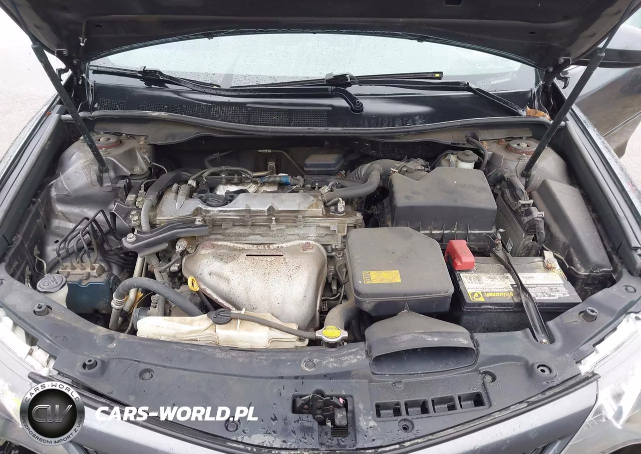 2014 Toyota Camry Se VIN:4T1BF1FK1EU334443 - 10
