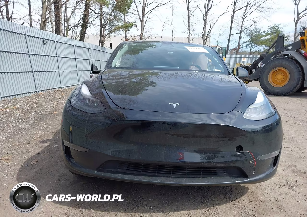 2023 Tesla Model Y Awd-Long Range Dual Motor All-Wheel Drive VIN:7SAYGDEE4PF765382 - 12