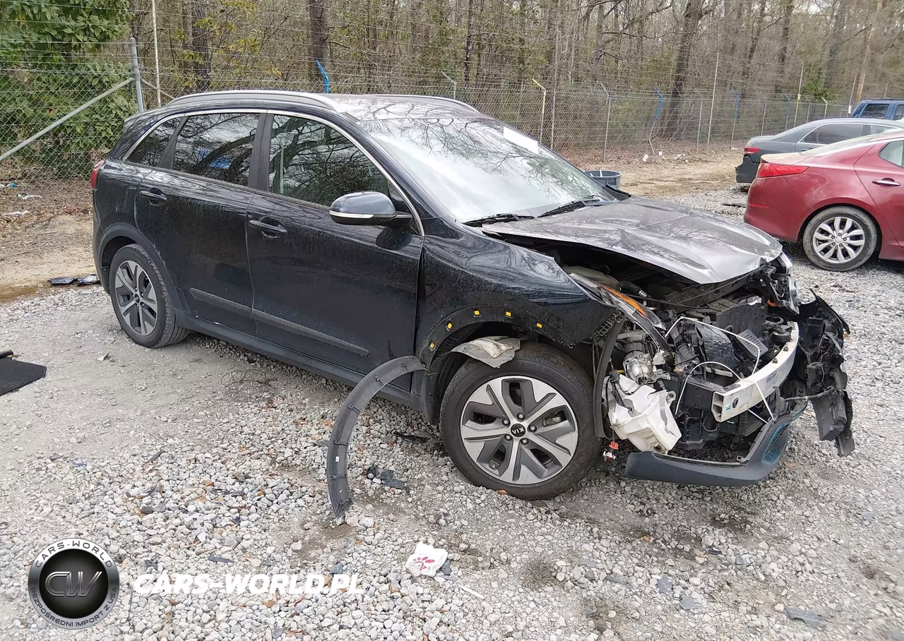 2019 Kia Niro Ev Ex Premium