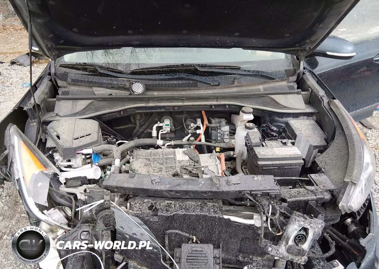 2019 Kia Niro Ev Ex Premium VIN:KNDCE3LG0K5015421 - 10