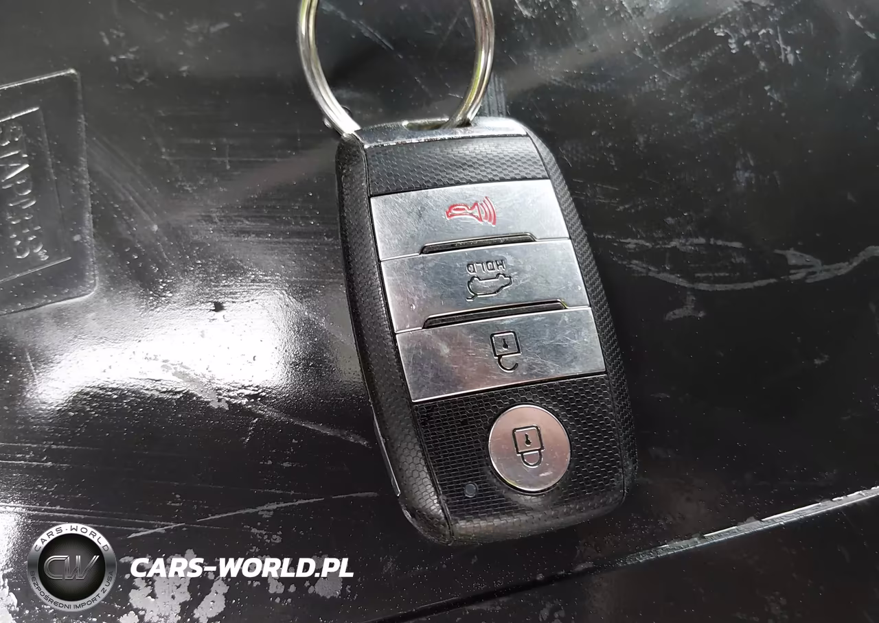 2019 Kia Niro Ev Ex Premium VIN:KNDCE3LG0K5015421 - 11