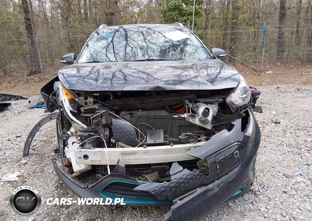 2019 Kia Niro Ev Ex Premium VIN:KNDCE3LG0K5015421 - 12