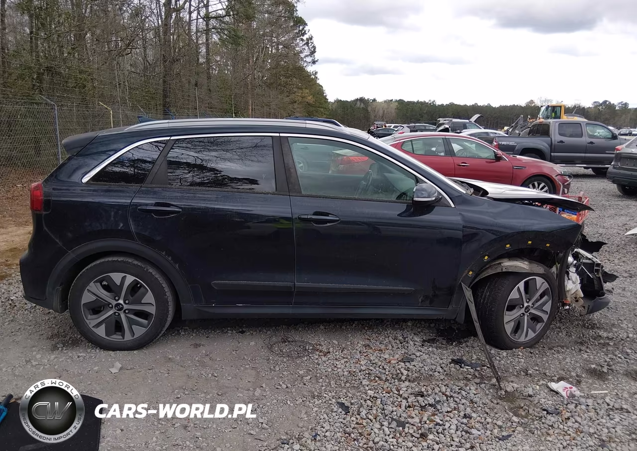 2019 Kia Niro Ev Ex Premium VIN:KNDCE3LG0K5015421 - 13