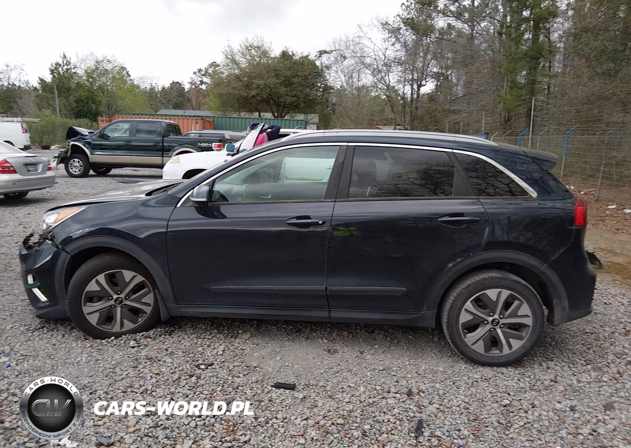 2019 Kia Niro Ev Ex Premium VIN:KNDCE3LG0K5015421 - 14