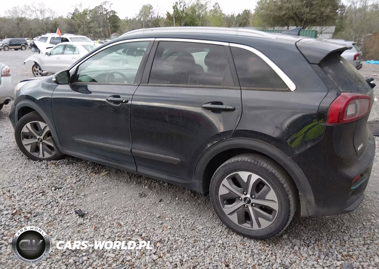2019 Kia Niro Ev Ex Premium VIN:KNDCE3LG0K5015421 - 3