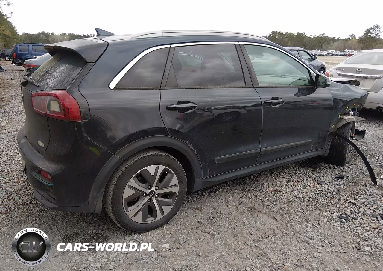 2019 Kia Niro Ev Ex Premium VIN:KNDCE3LG0K5015421 - 4