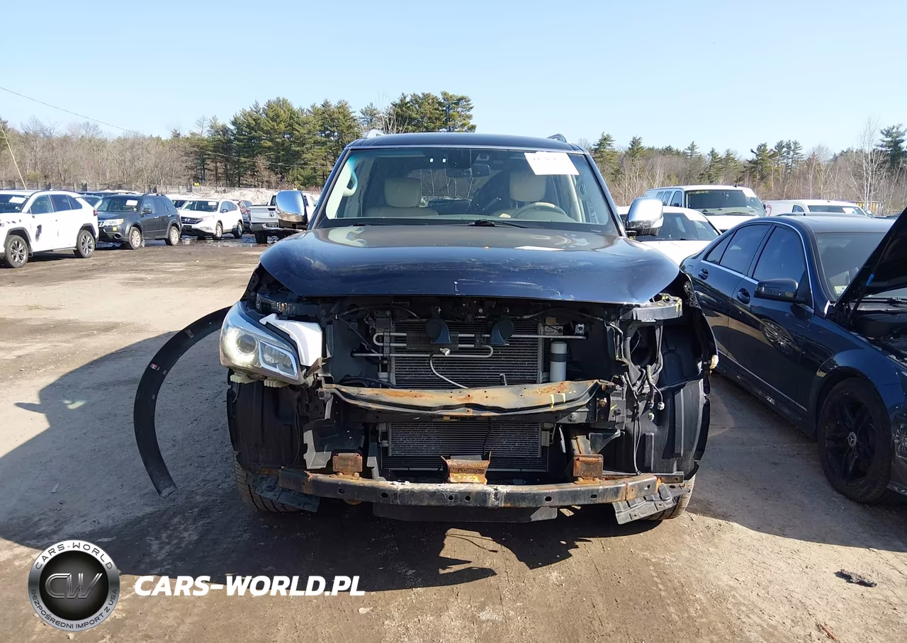 2016 Infiniti Qx80 VIN:JN8AZ2NE0G9123477 - 13