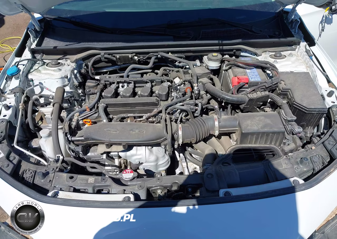 2024 Honda Civic Ex-L VIN:19XFL1H77RE008125 - 10
