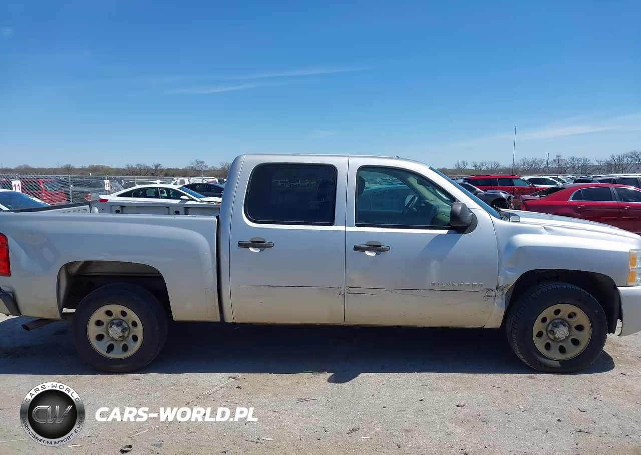 2010 Chevrolet Silverado 1500 Ls VIN:3GCRCREA5AG272061 - 13