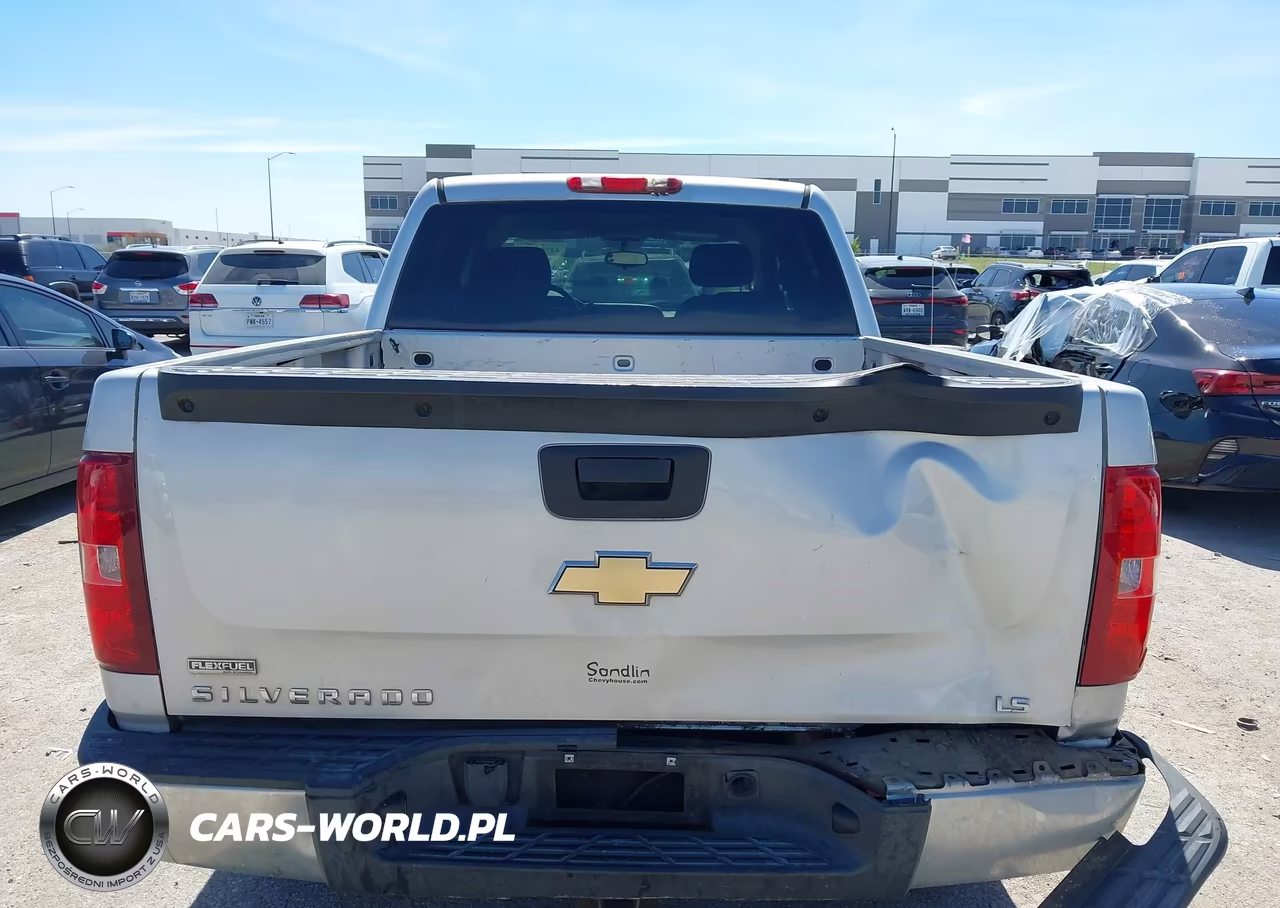 2010 Chevrolet Silverado 1500 Ls VIN:3GCRCREA5AG272061 - 16