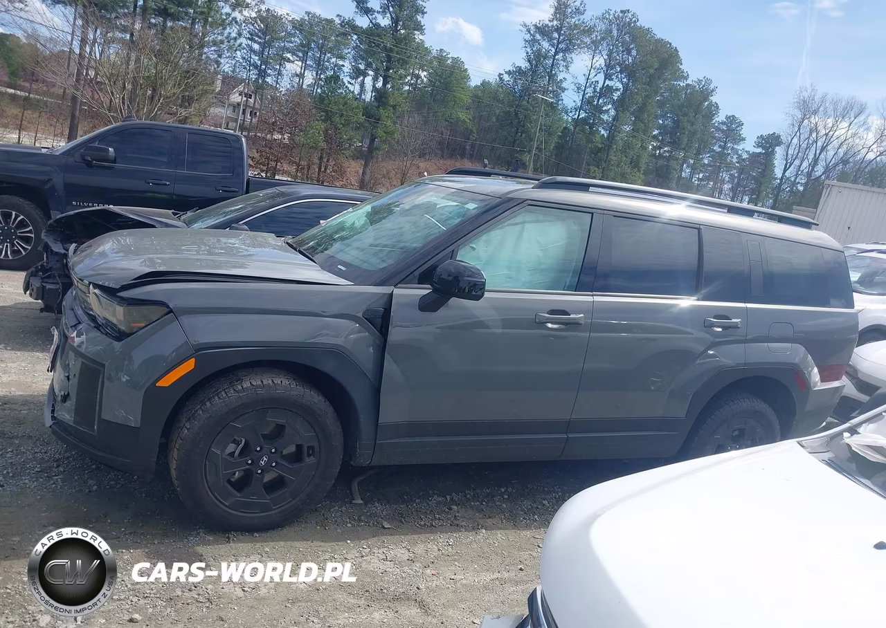 2025 Hyundai Santa Fe Xrt VIN:5NMP3DGL8SH114442 - 14