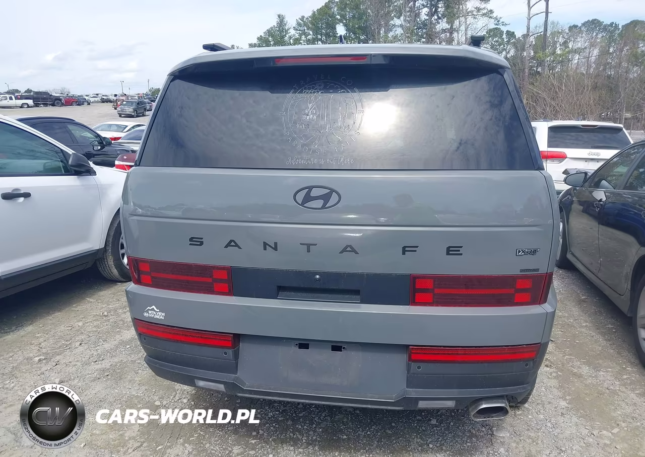 2025 Hyundai Santa Fe Xrt VIN:5NMP3DGL8SH114442 - 16