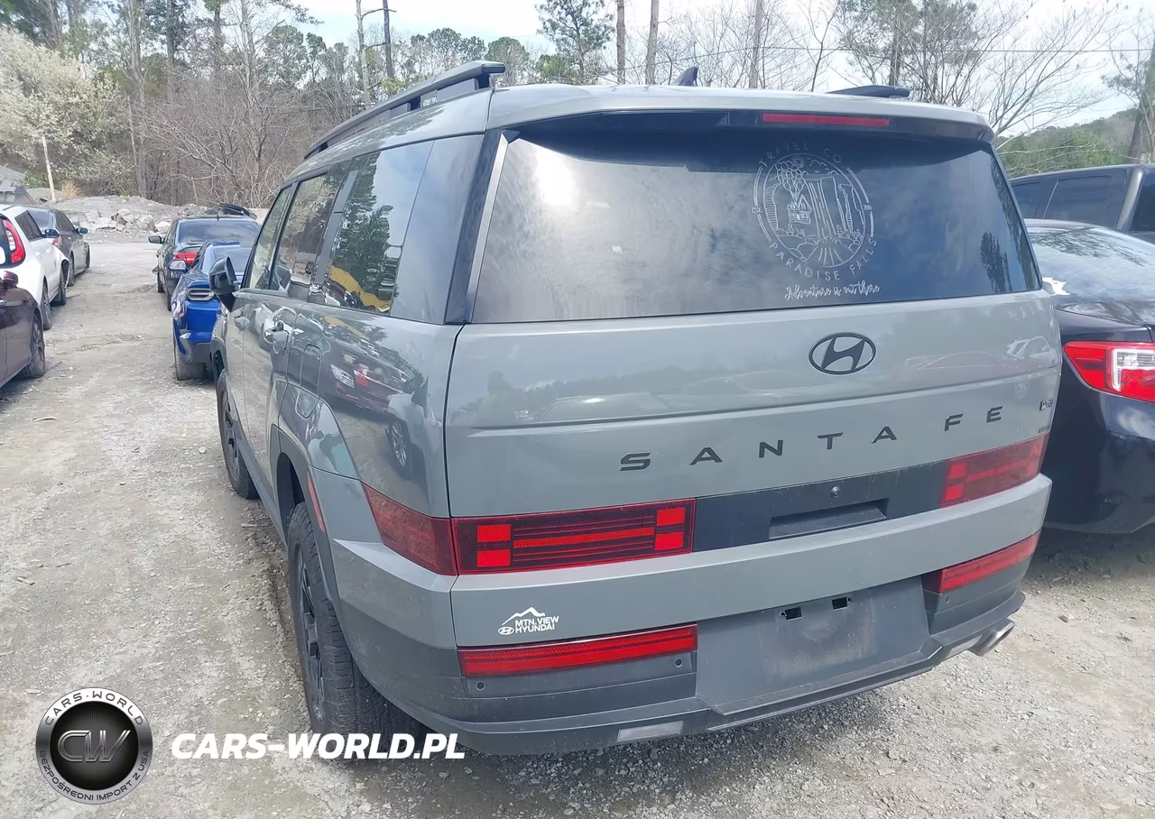 2025 Hyundai Santa Fe Xrt VIN:5NMP3DGL8SH114442 - 3