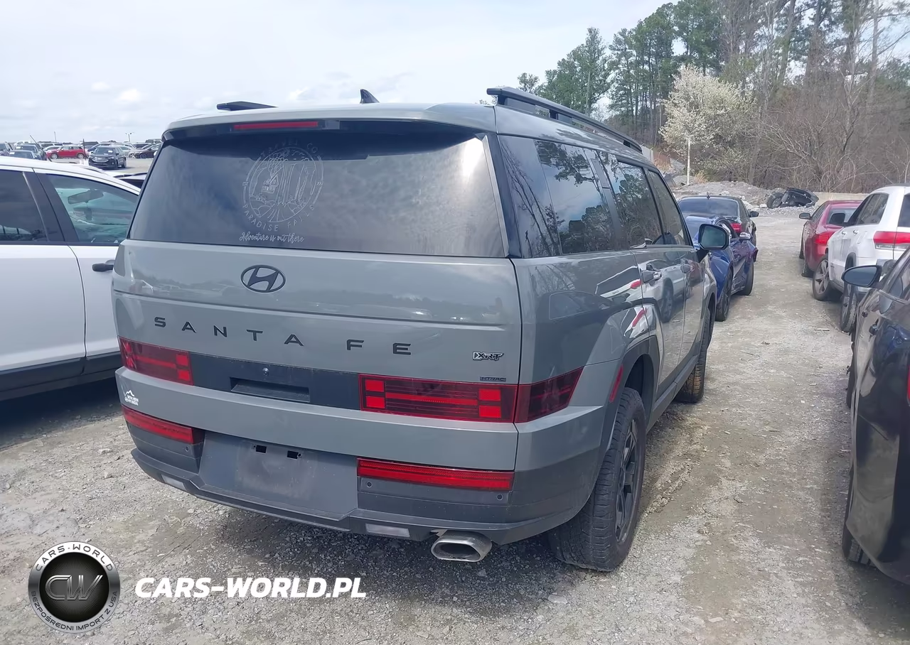 2025 Hyundai Santa Fe Xrt VIN:5NMP3DGL8SH114442 - 4