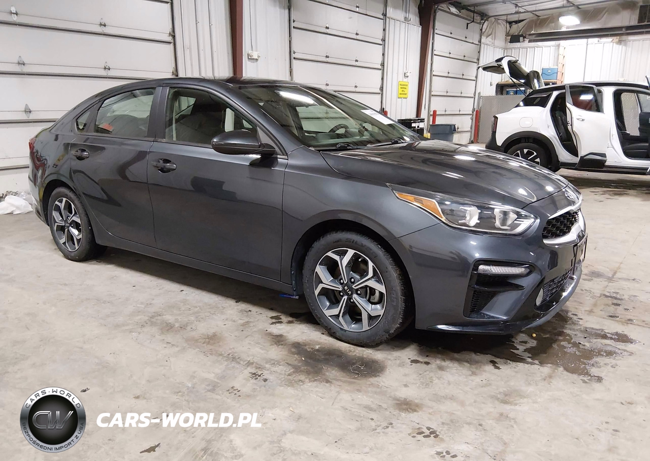 2019 Kia Forte Lxs