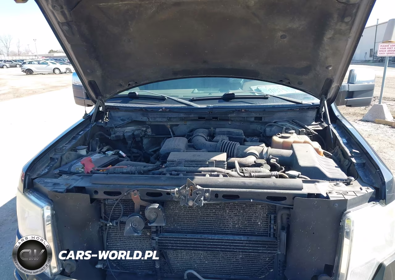 2010 Ford F150 Supercrew VIN:1FTFW1EV8AFA15752 - 10