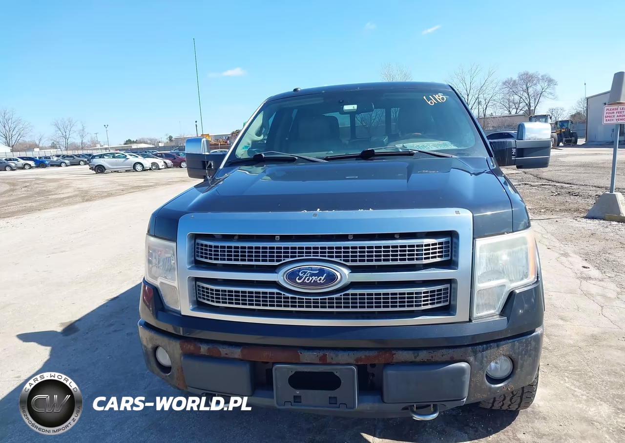 2010 Ford F150 Supercrew VIN:1FTFW1EV8AFA15752 - 12