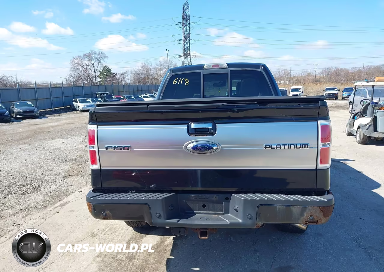 2010 Ford F150 Supercrew VIN:1FTFW1EV8AFA15752 - 16