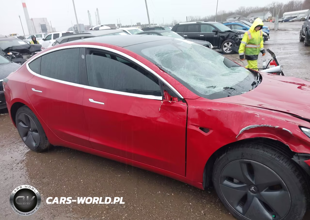 2020 Tesla Model 3 Long Range Dual Motor All-Wheel Drive VIN:5YJ3E1EB1LF600384 - 13