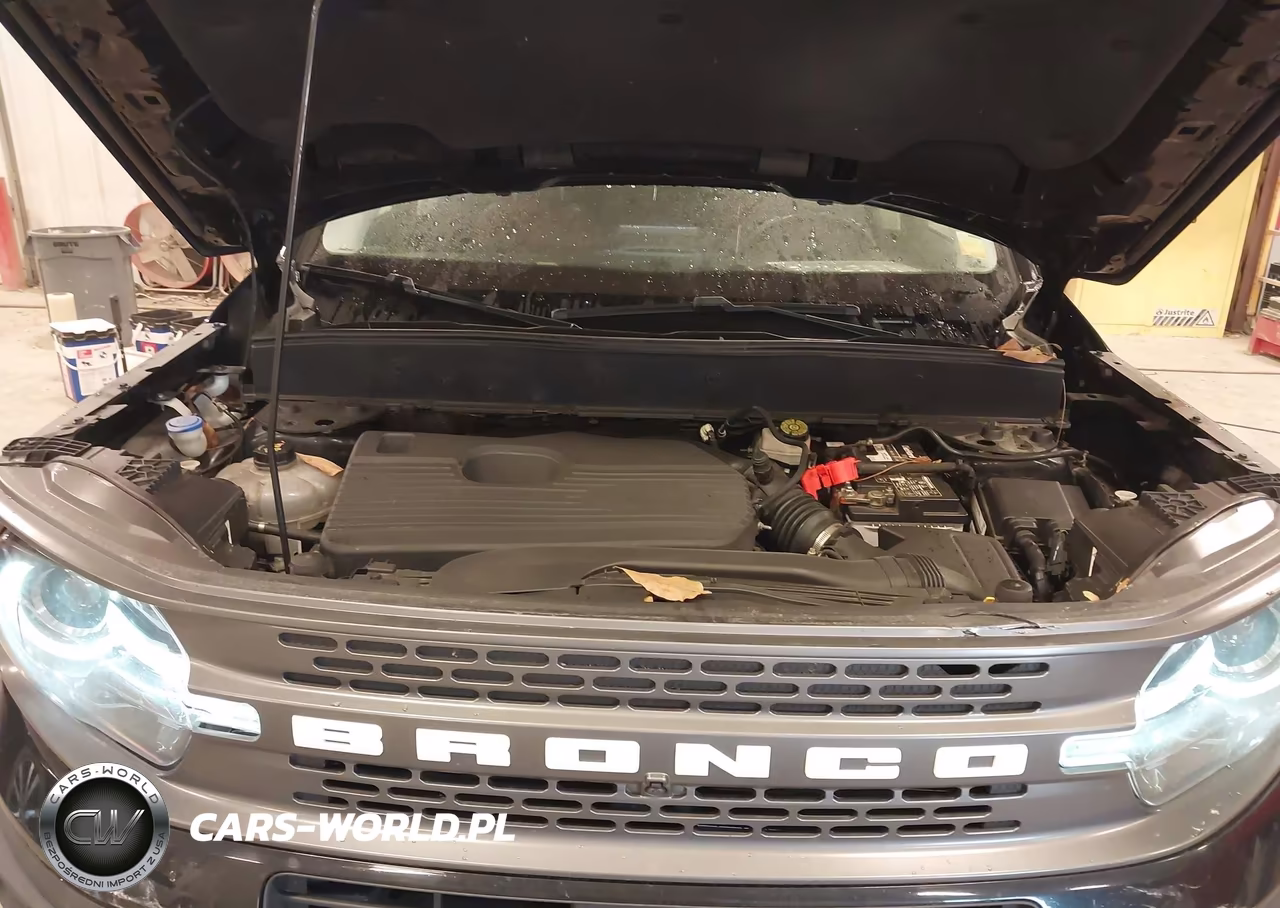 2021 Ford Bronco Sport Badlands VIN:3FMCR9D95MRA02814 - 10