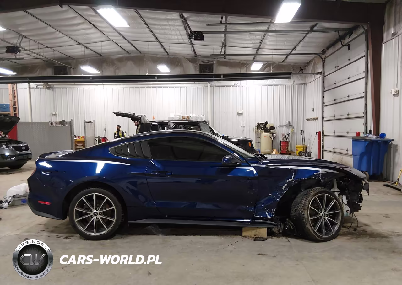 2018 Ford Mustang Ecoboost VIN:1FA6P8TH4J5123820 - 14