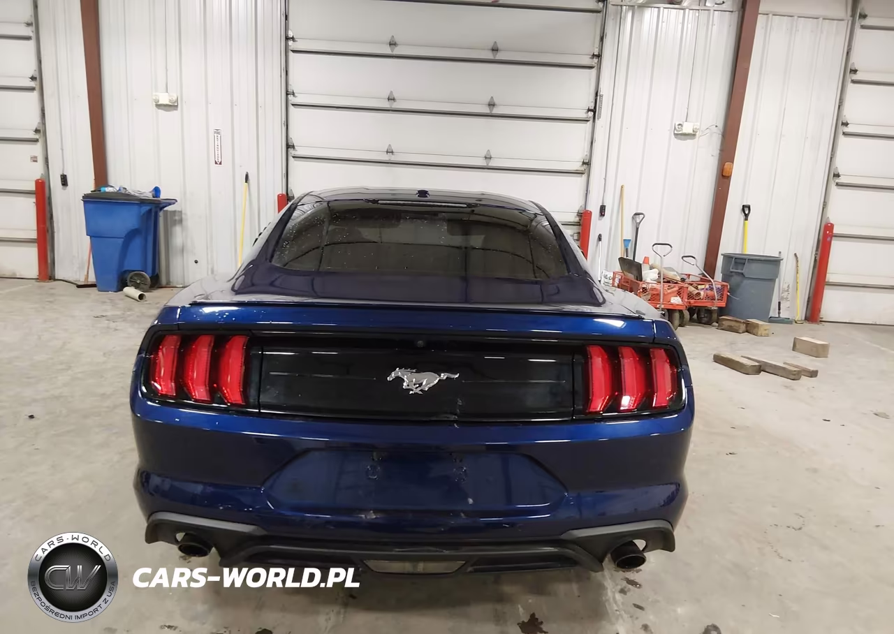 2018 Ford Mustang Ecoboost VIN:1FA6P8TH4J5123820 - 17