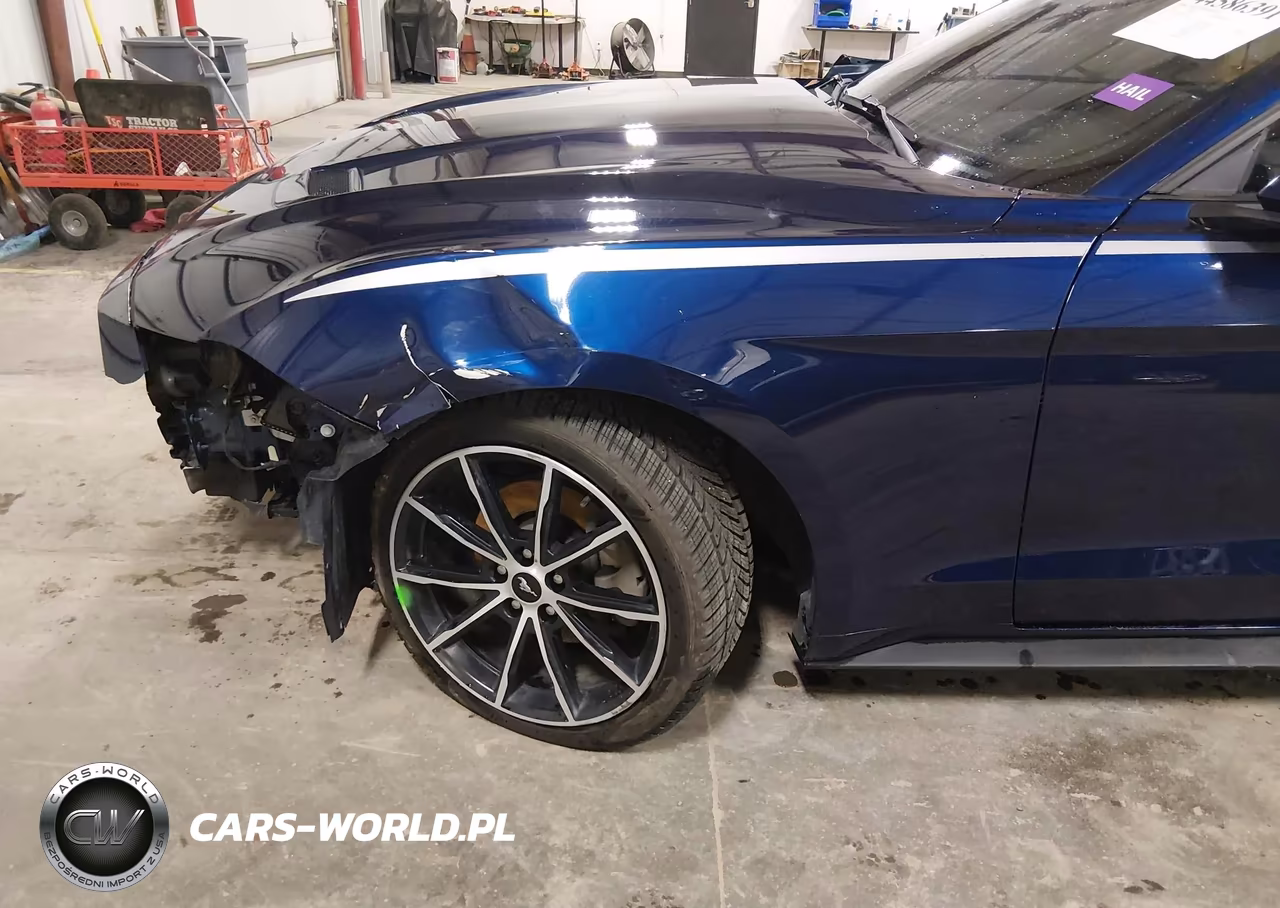 2018 Ford Mustang Ecoboost VIN:1FA6P8TH4J5123820 - 19