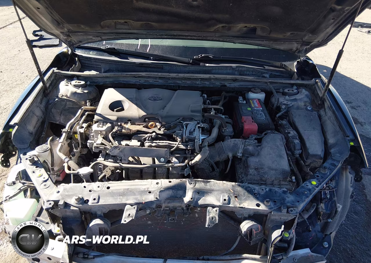 2019 Toyota Camry Le VIN:4T1B11HK8KU849589 - 10