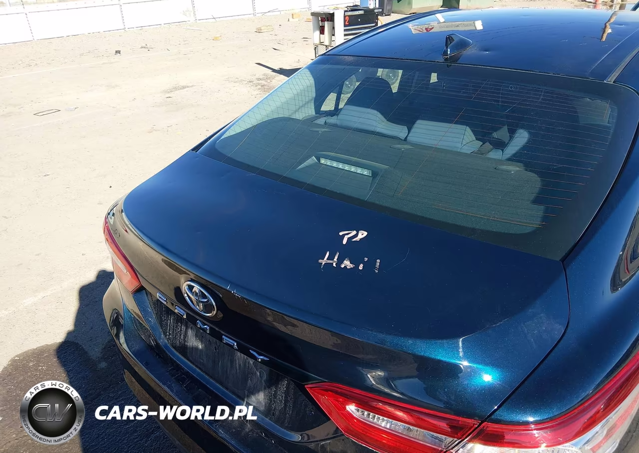 2019 Toyota Camry Le VIN:4T1B11HK8KU849589 - 21