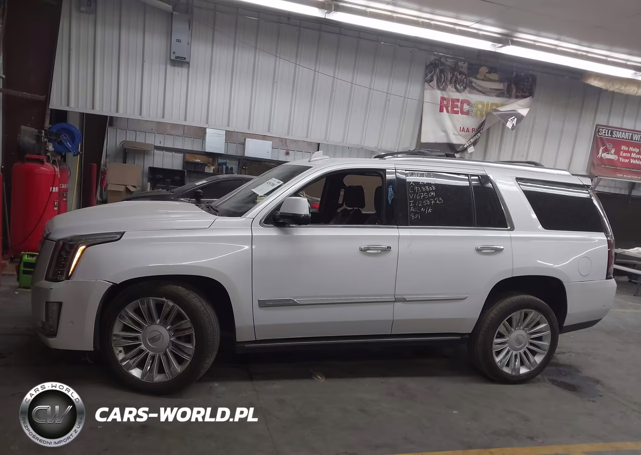 2017 Cadillac Escalade Platinum VIN:1GYS4DKJ0HR167504 - 13