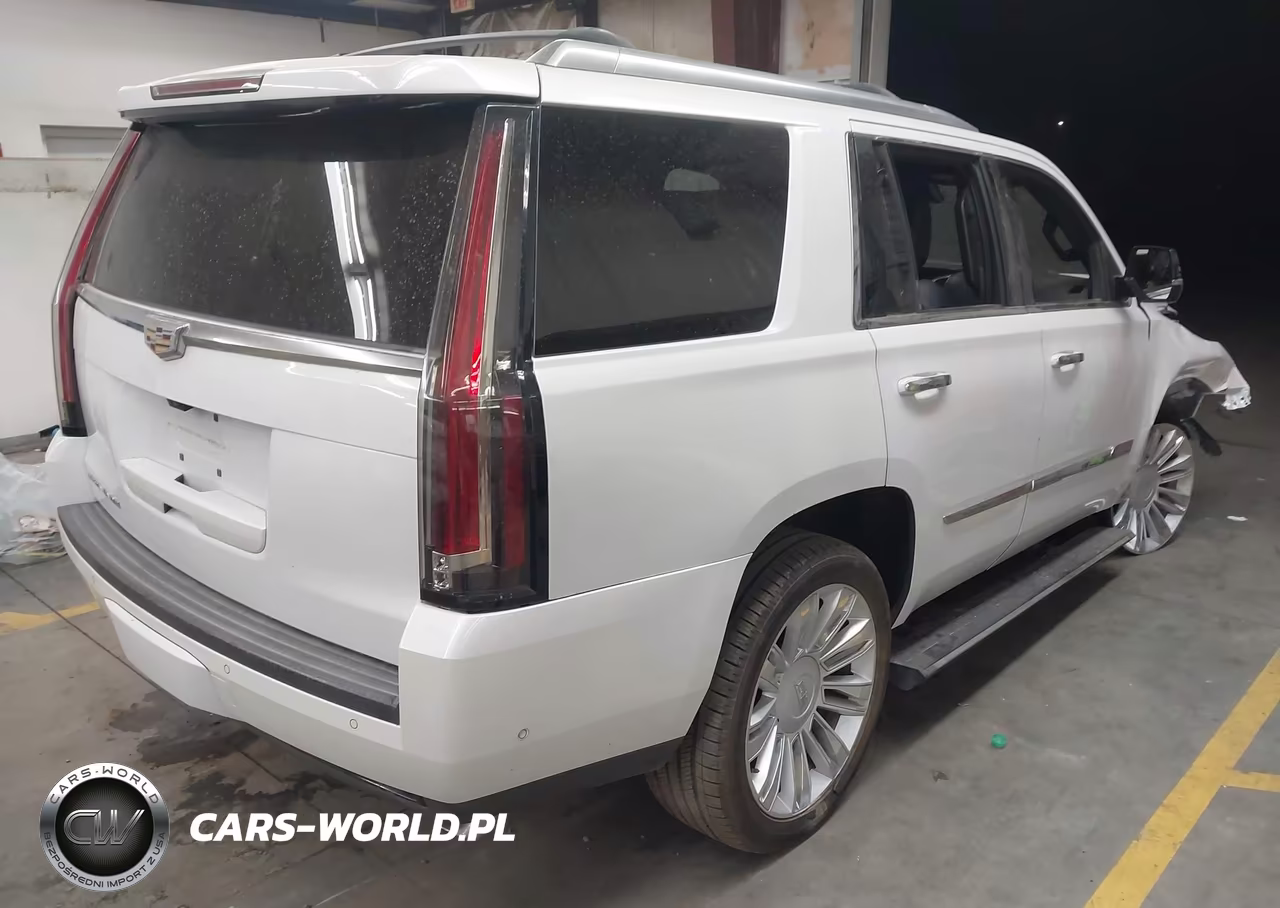 2017 Cadillac Escalade Platinum VIN:1GYS4DKJ0HR167504 - 4