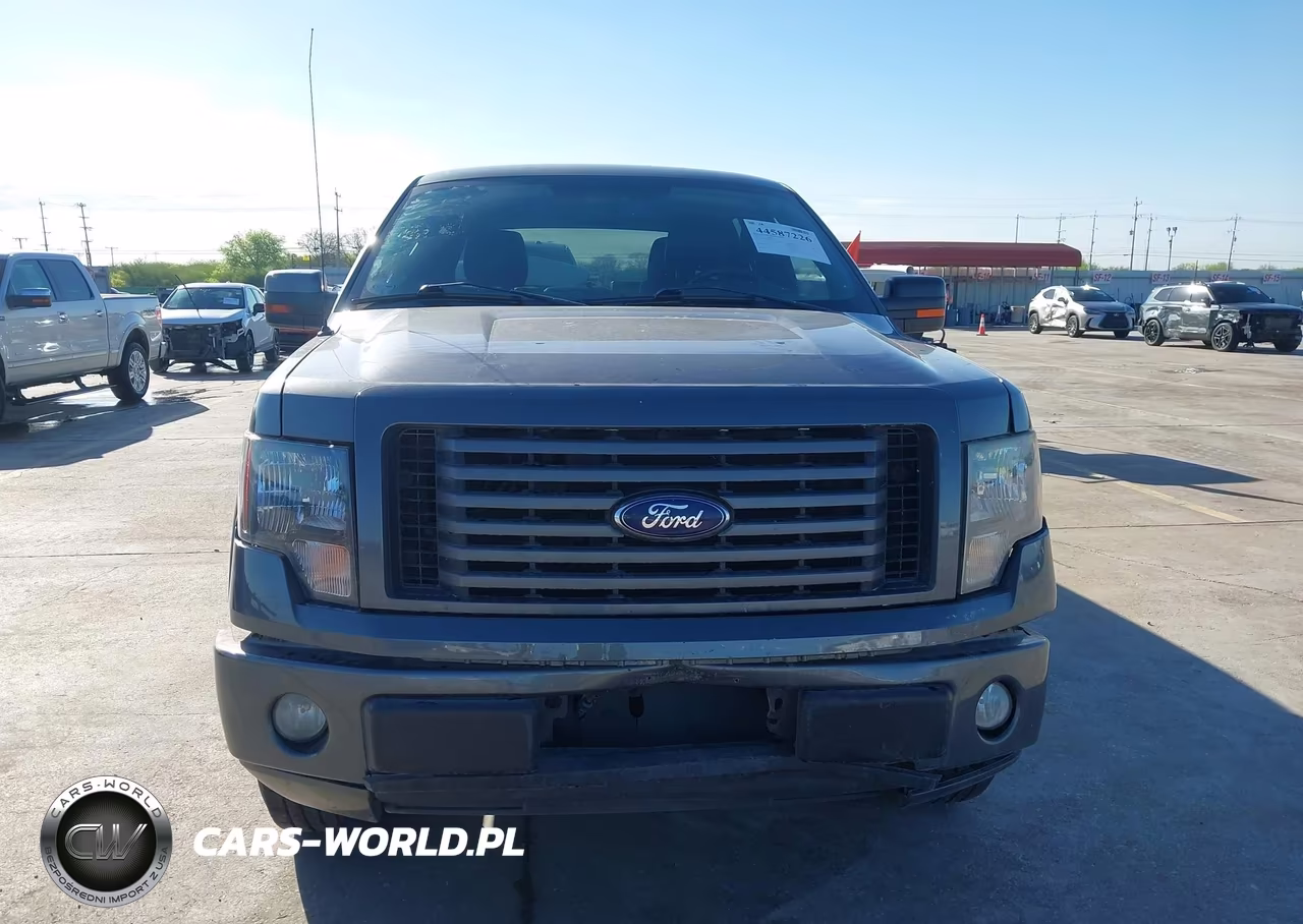 2010 Ford F-150 Fx2 Sport-Xl-Xlt VIN:1FTEW1C83AKC34103 - 12