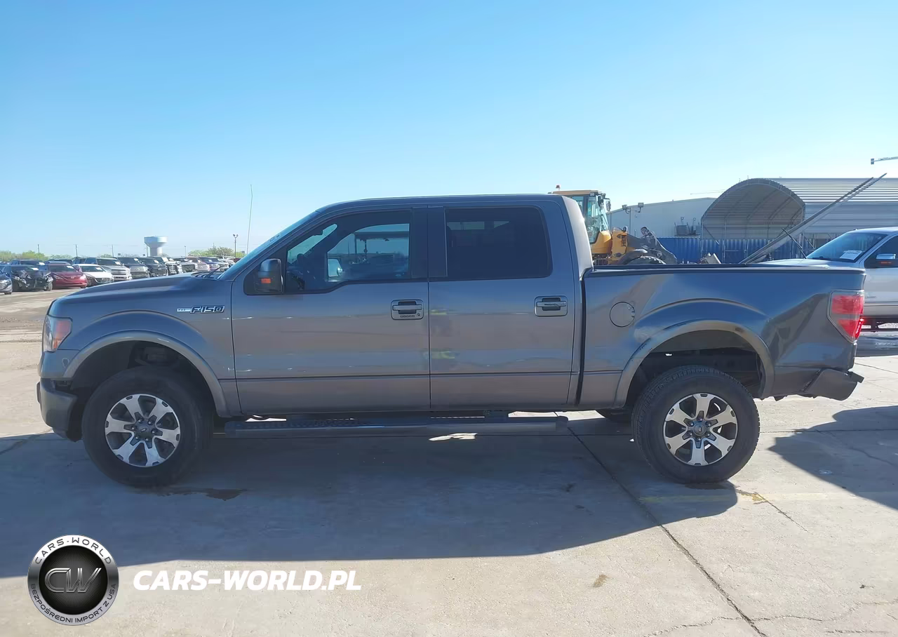 2010 Ford F-150 Fx2 Sport-Xl-Xlt VIN:1FTEW1C83AKC34103 - 14