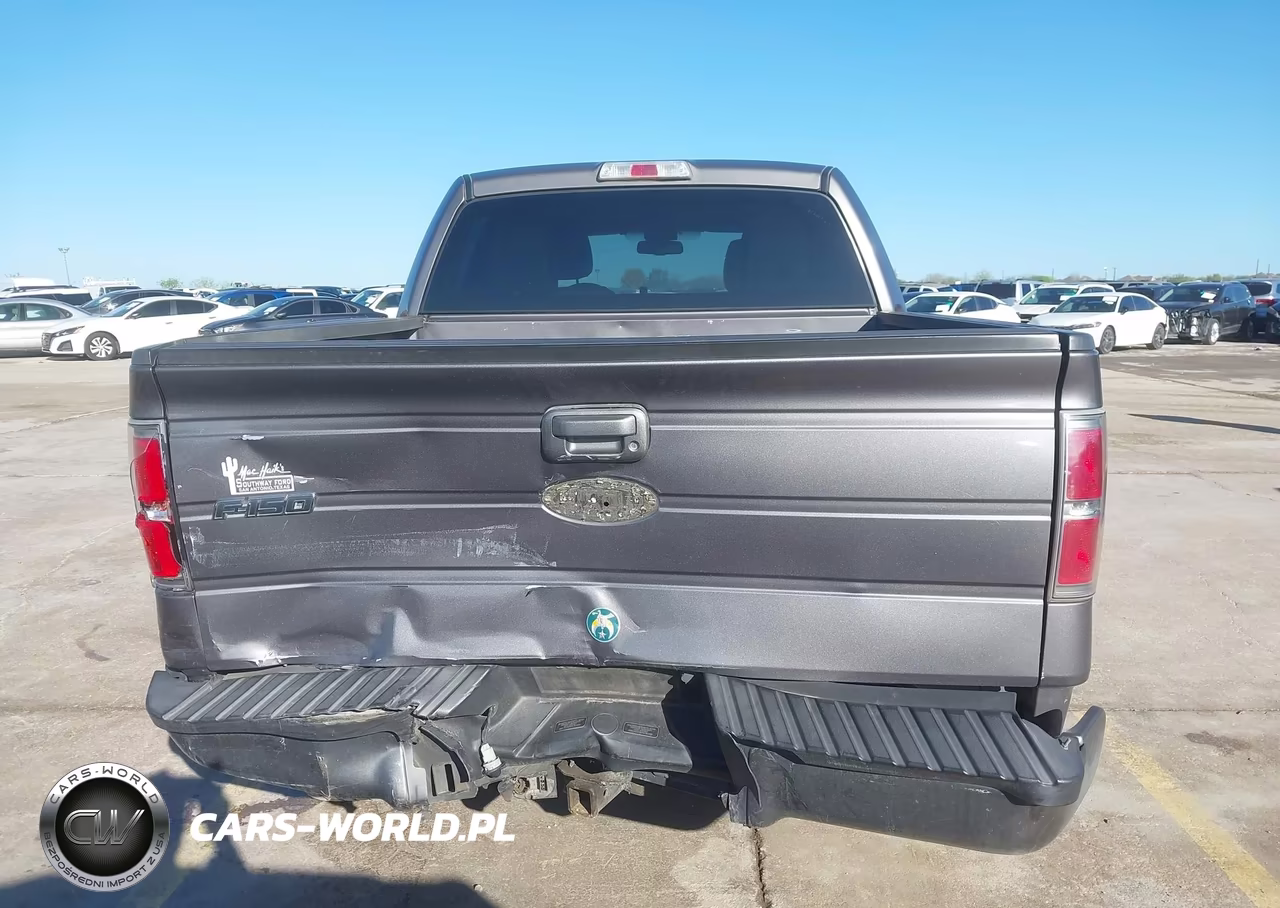 2010 Ford F-150 Fx2 Sport-Xl-Xlt VIN:1FTEW1C83AKC34103 - 16