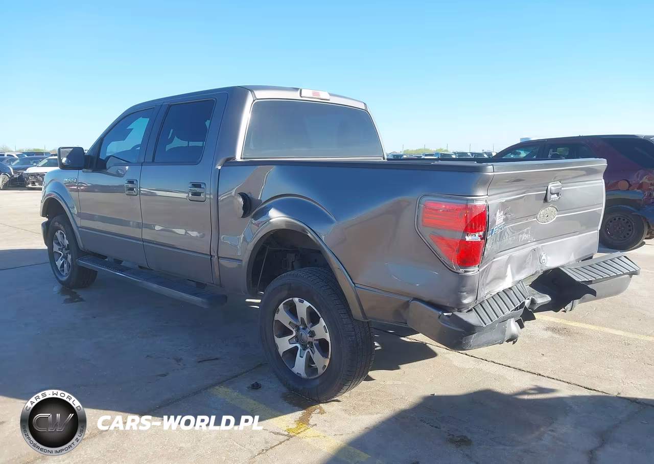 2010 Ford F-150 Fx2 Sport-Xl-Xlt VIN:1FTEW1C83AKC34103 - 3