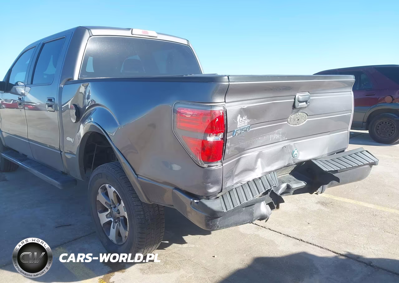 2010 Ford F-150 Fx2 Sport-Xl-Xlt VIN:1FTEW1C83AKC34103 - 6