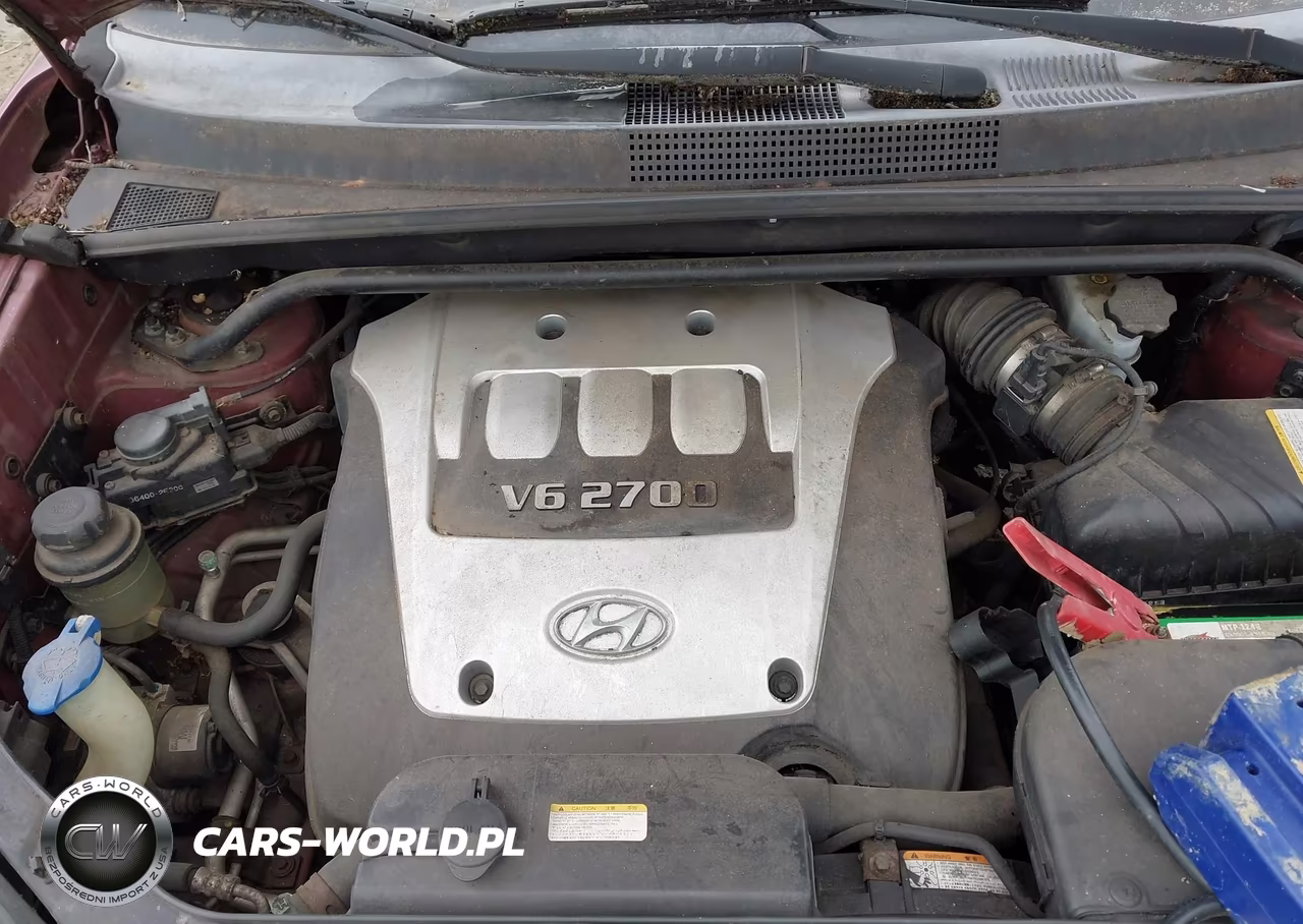 2006 Hyundai Tucson Gls-Limited VIN:KM8JN72D06U263486 - 10