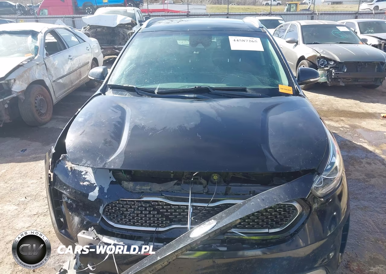 2019 Kia Niro Plug-In Hybrid Ex Premium VIN:KNDCC3LD6K5253480 - 12