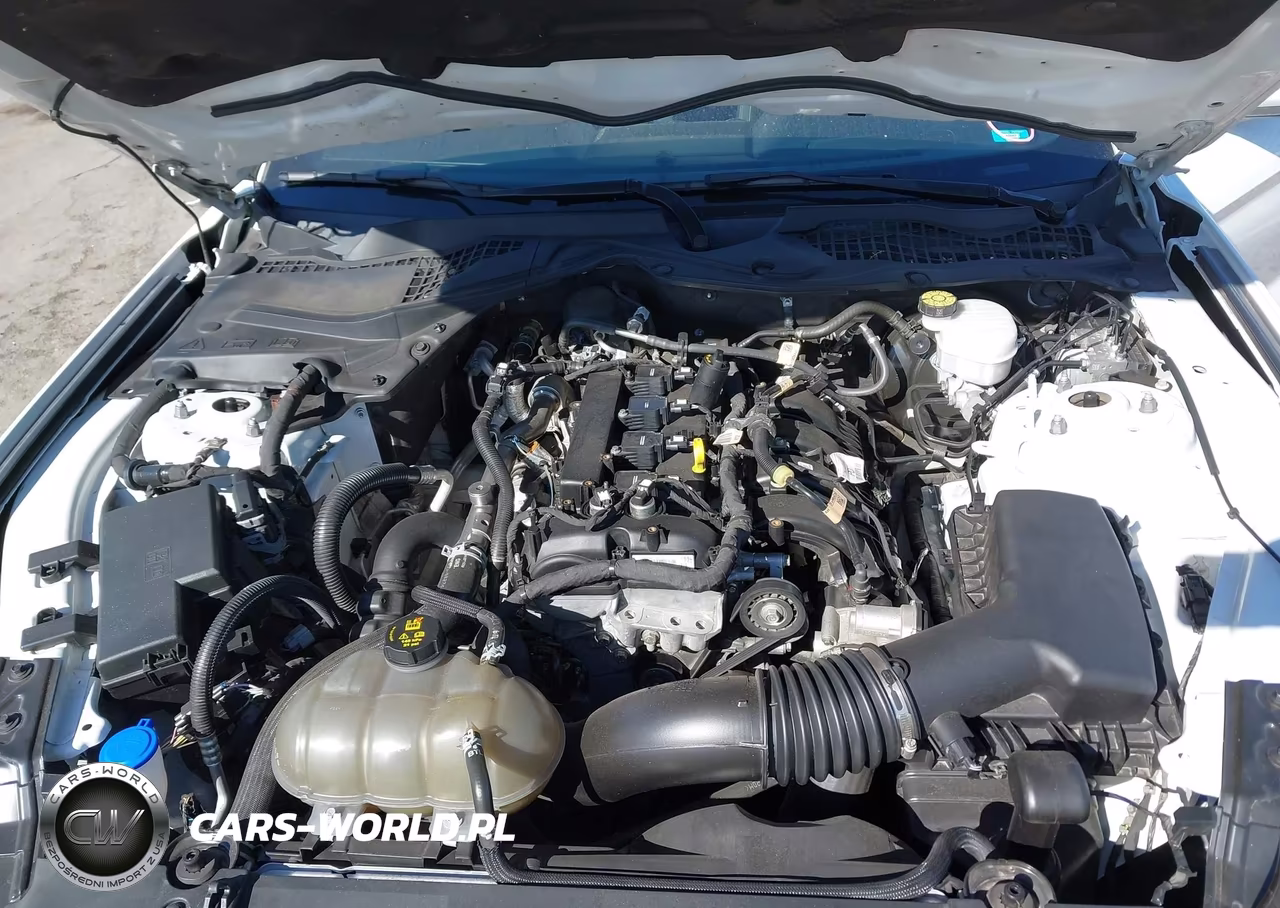 2021 Ford Mustang Ecoboost Fastback VIN:1FA6P8TH7M5152085 - 10